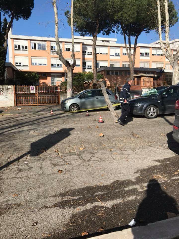 Il grosso ramo spezzato caduto su un'auto in via di Saponara, ad Acilia