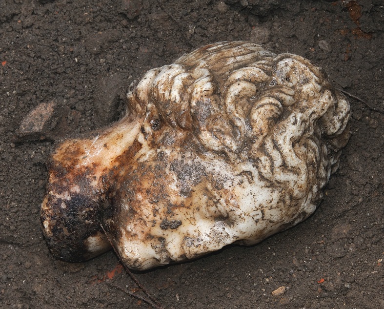 La testa di Afrodite al bagno recuperata a Ostia Antica