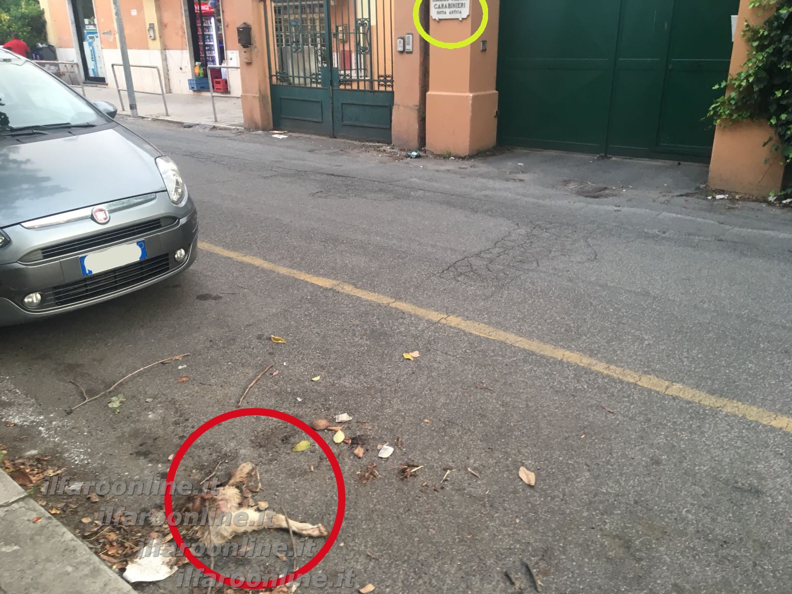 Nel cerchio rosso i resti del capretto e nel giallo la targa della stazione carabinieri di via delle Saline