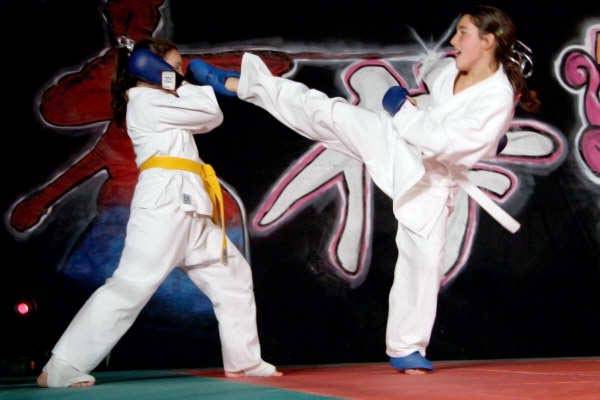 Martial arts tour, successo di pubblico