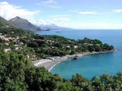 Spiaggia di Castelporziano, arrivano i cartelli per segnalare eventuali parcheggi liberi