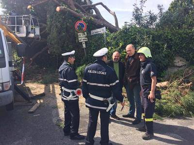 Anzio, 200mila euro per la riqualificazione della Pineta Mazza