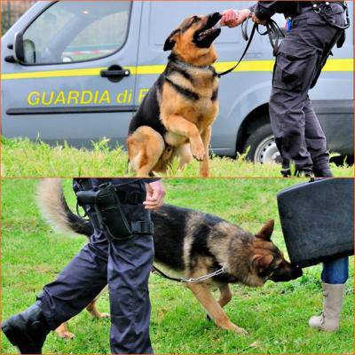 Inaugurato il park dog al Parco della Resistenza