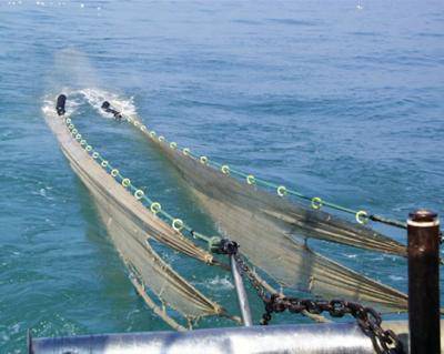 Pesca a strascico, fermato  un peschereccio al largo di Nettuno