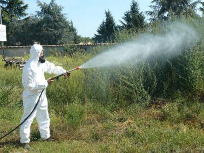 Mercoledì 14 settembre al via le disinfestazioni