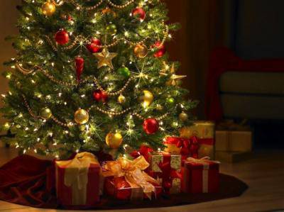 “L’albero di Natale facciamolo tutti insieme”