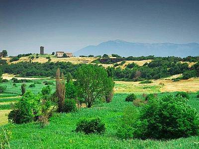 Agro romano devastato: stop al bando per l’housing sociale