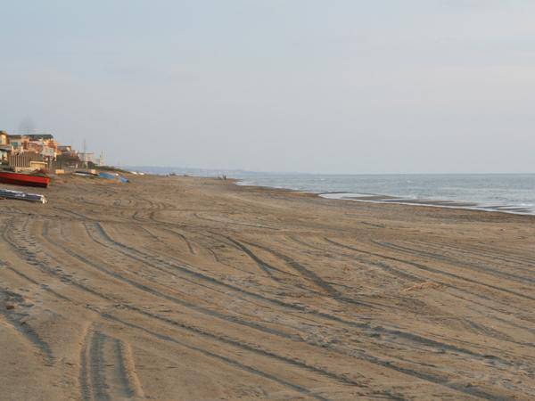 Ardea, imponente operazione di pulizia su 11 chilometri di spiaggia