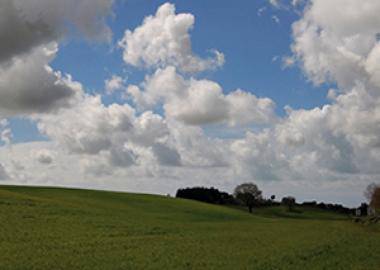 "Biogas: tutto meno che bio"