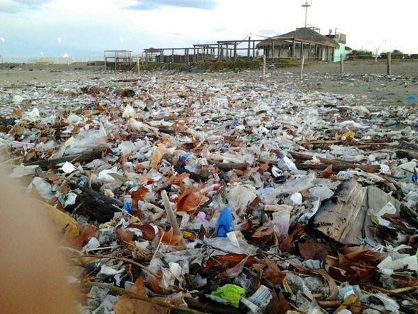 "Ecco come sono ridotte le spiagge a Fiumicino"