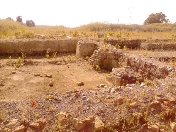 Dragoncello, un ettaro di villa romana abbandonata
