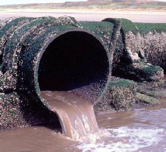 Sversamento di liquali in mare dopo il furto di cavi elettrici al depuratore