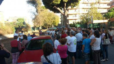 Oggi la nuova manifestazione delle Sentinelle degli Alberi