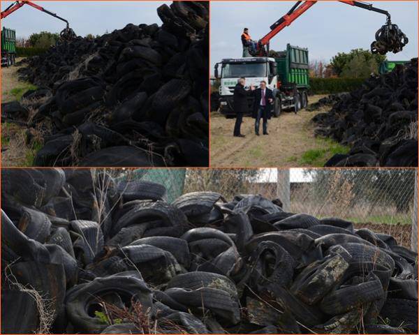 Discarica di pneumatici a Pescia Romana: al via la bonifica