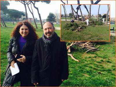 Villa Guglielmi, Ambrosini: “Interventi su alberi a rischio caduta. Presto 32 nuovi pini”