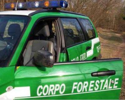 Operazione anti-inquinamento della forestale di Terracina