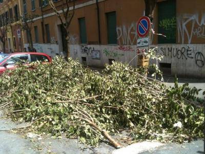 Potature in strada, intervene il Sindaco: multe fino a 300 euro