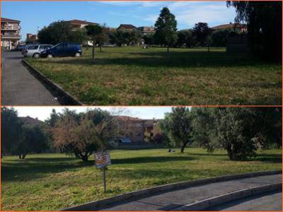 Pd all'attacco: "Ma l'Amministrazione conosce il parco di via Martiri delle Foibe?"