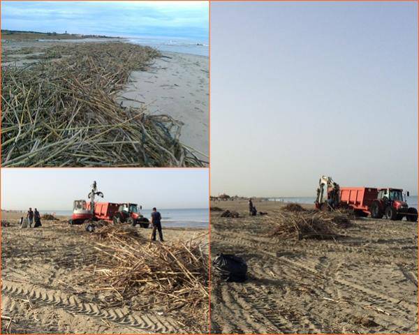 Spiaggia di Maccarese, rimossi oltre 200 metri cubi di rifiuti