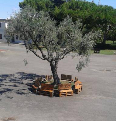 "Vino cantina Cerveteri, l'elogio di Fare verde