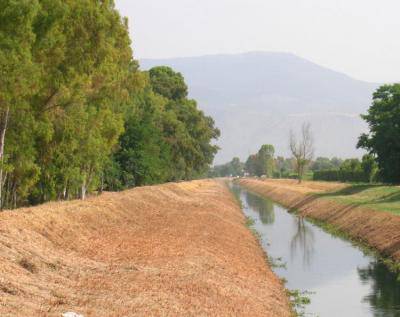 Ambiente, parte la bonifica su via dell'Armellino