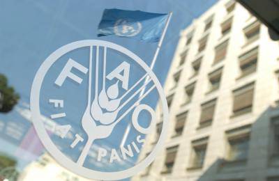 Summit Fao-Oms: allarme obesità nel XXI secolo