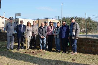 30 nuove piante di ulivo nel terreno dell'IISS 'Vincenzo Cardarelli'
