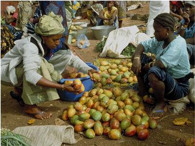 Guinea, la sicurezza alimentare minacciata dall'Ebola