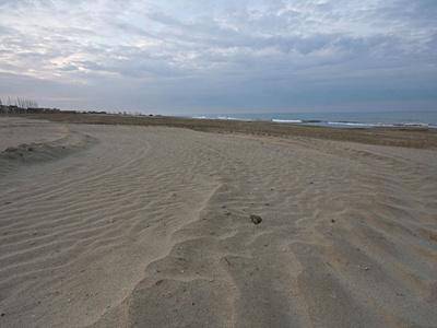 Spiagge e parchi puliti per le vacanze pasquali