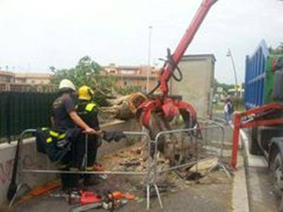 Il forte vento fa cadere un albero in Via Giuseppe Moschini