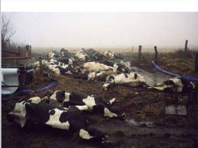 Associazione Bio Ambiente: “La morte dagli impianti a biogas, il Botulismo”