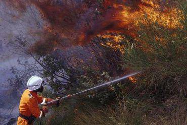 Incendi boschivi: dal Sindaco Mitrano un elogio al super lavoro della Protezione Civile