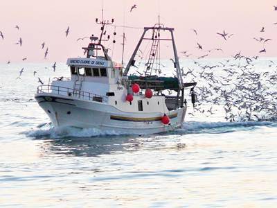 Un Focus sulla pesca ed i prodotti del Mar Tirreno