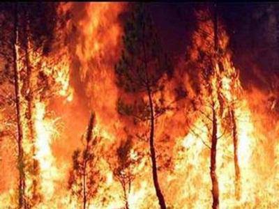 Incendio pineta, in Commissione Ambiente si apre lo scontro sulle responsabilità