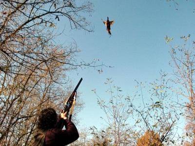Sel Litorale Romano: “Preapertura della caccia, una forma di violenza contro la natura”