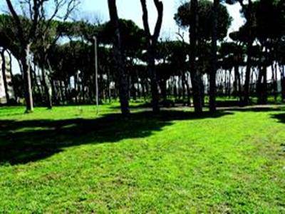 Aree verdi a #pomezia e Torvaianica, al via i lavori per i giardini di via Catullo e via Danimarca