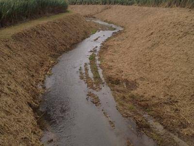 Magionesi: “Grazie al consorzio bonifica per la pulizia degli argini Rio Palidoro”