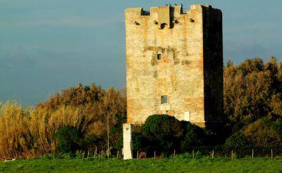 Torre medievale di Palidoro: la Giunta Regionale autorizza la concessione al comune di Fiumicino
