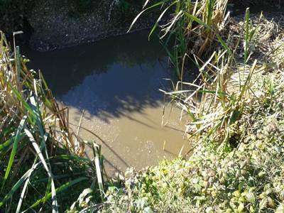 Ambiente: problemi all’impianto fognario di Martin Pescatore e Torvajanica