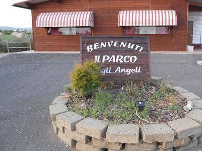 Associazione Parco degli Angeli: “Muoviamociinsieme Muoviamocisempre”