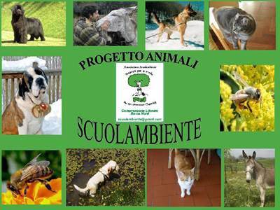 Scuolambiente in soccorso di cani e gatti randagi