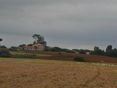 Sel: “Anzio ama la Vignarola”