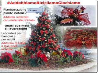 E’ quello del Querceto l’albero di Natale più bello