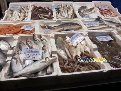 Ex Canaga: a breve l'apertura del cantiere per il mercato del pesce