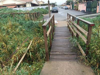 Salviamo Ostia Antica: “Saline di nuovo preda di idioti e incivili”