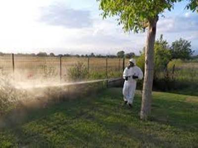 Invasione estiva delle zanzare: la proloco di Fregene scrive al Sindaco
