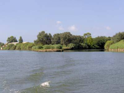 Visita naturalistica presso l'argine del Tevere da Ostia Antica