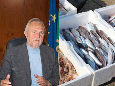 Sequestro del pesce, Montino: “Un successo garantito dalla collaborazione interforze”