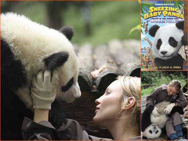Approda in Italia Sneezing Baby Panda