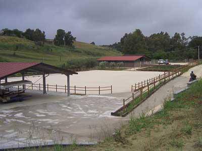 Domenica 5 giugno apre il centro equestre "Il campanile" a Palidoro